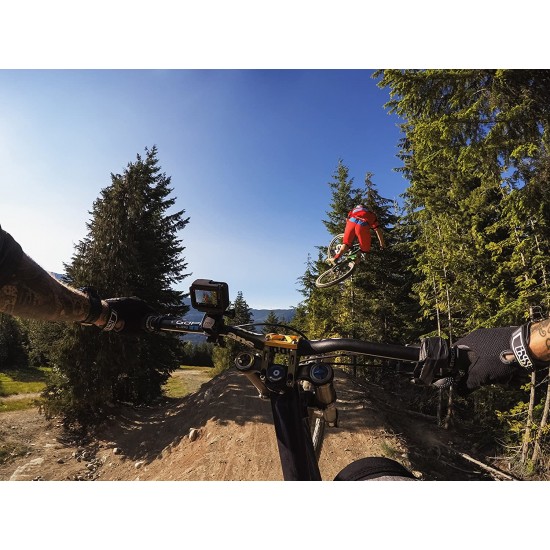 GoPro Handlebar / Seatpost / Pole Mount